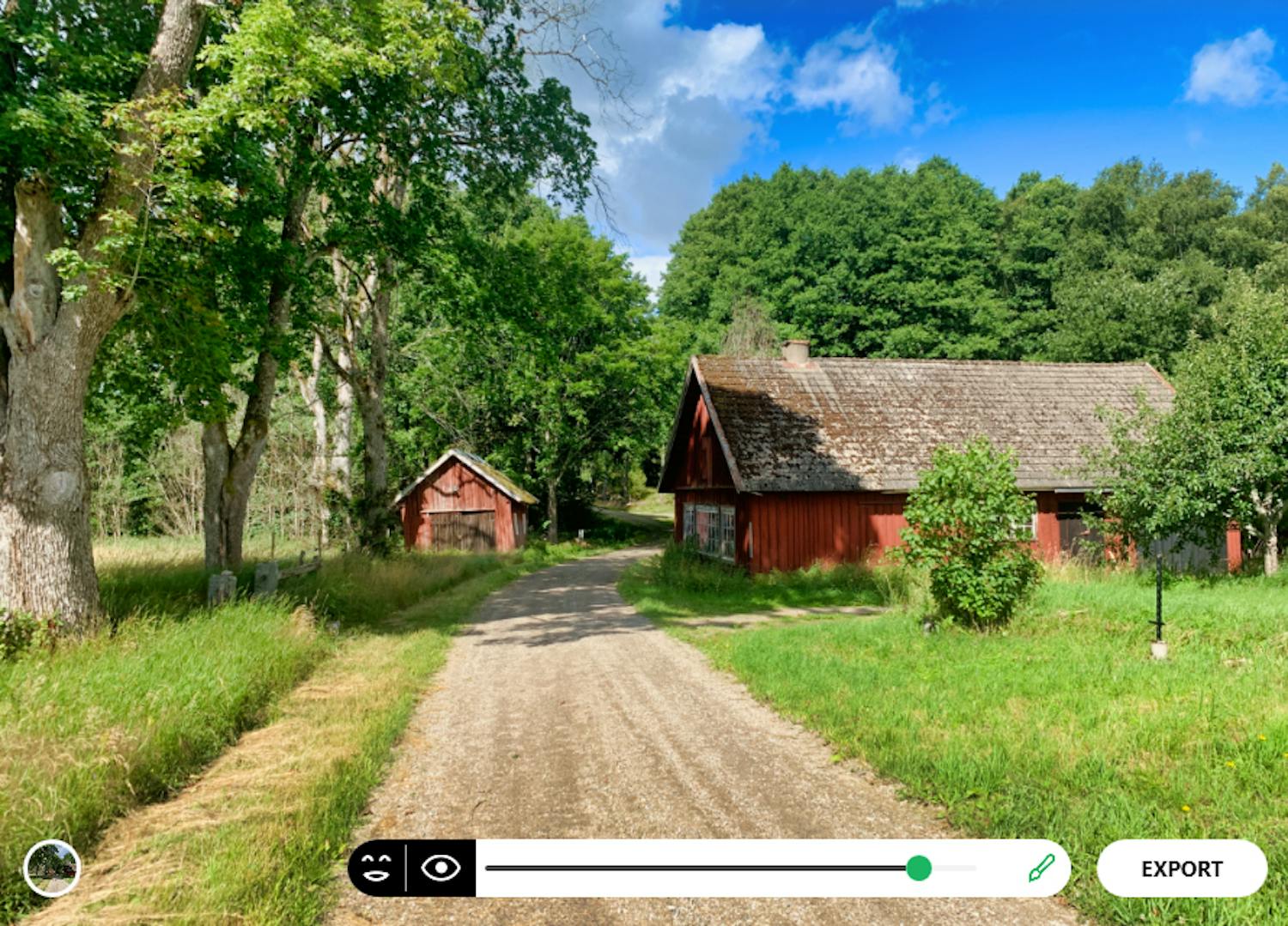 photolemur5 Photolemur 3